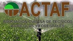 Entrega ACTAF Premio Obra de la Vida al Dr. C. Ricardo Dueñas García