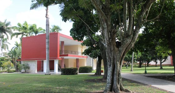 UCLV puntera entre las universidades cubanas en rankings internacionales