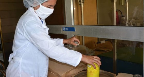 El primer bioplastificante cubano lleva el sello de la UCLV