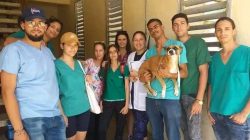 Estudiantes de Veterinaria protagonizan acciones de vacunación contra la rabia canina