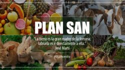 La UCLV aportando al Plan de Soberanía Alimentaria y Educación Nutricional de Cuba (SAN)