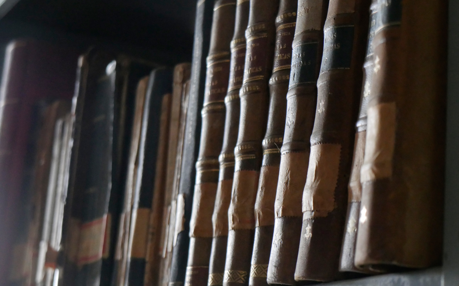 Biblioteca