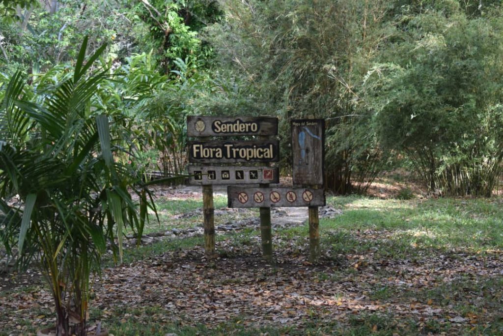 La UCLV celebra el Día Mundial del Medio Ambiente desde el Jardín Botánico