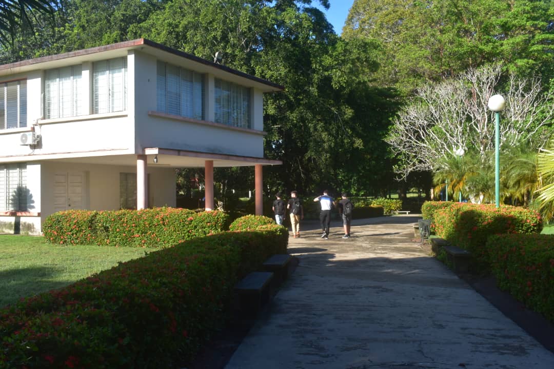 Senda universitaria (jardines y un edificio a la izquierda) por la cual caminan estudiantes en convivencia armónica. 