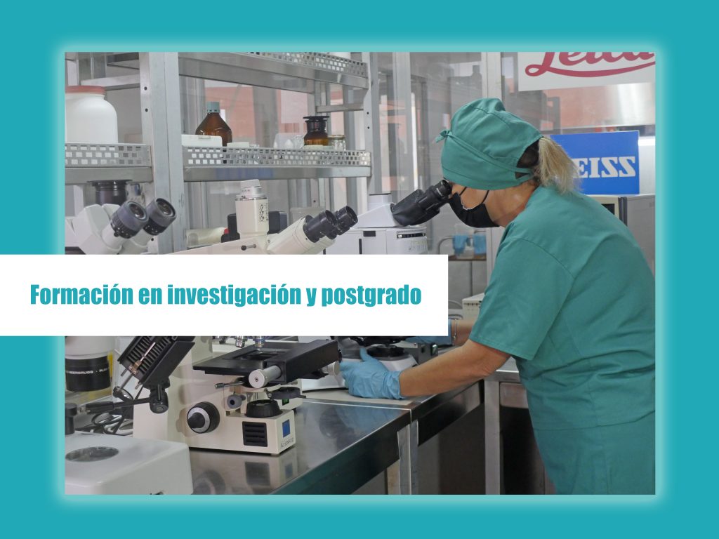 Formación en investigación y posgrado, motor impulsor en la UCLV